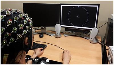 Mind Wandering Influences EEG Signal in Complex Multimodal Environments